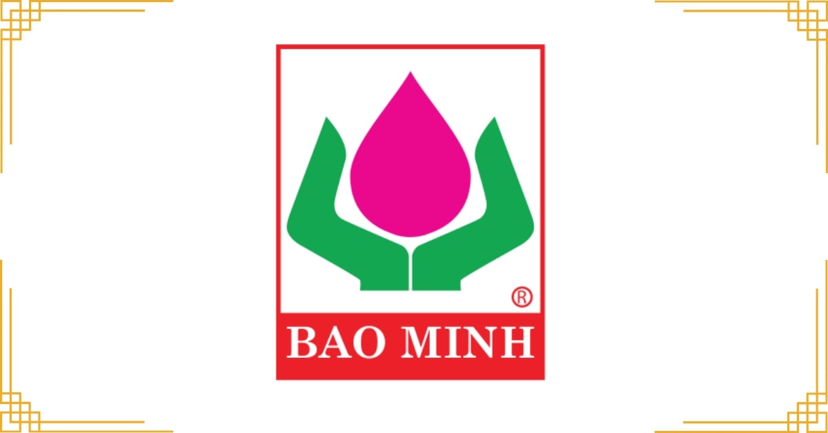 Bảo Hiểm Bảo Minh