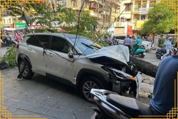 Cathay Insurance là một thương hiệu bảo hiểm quốc tế có mặt lâu năm tại Việt Nam